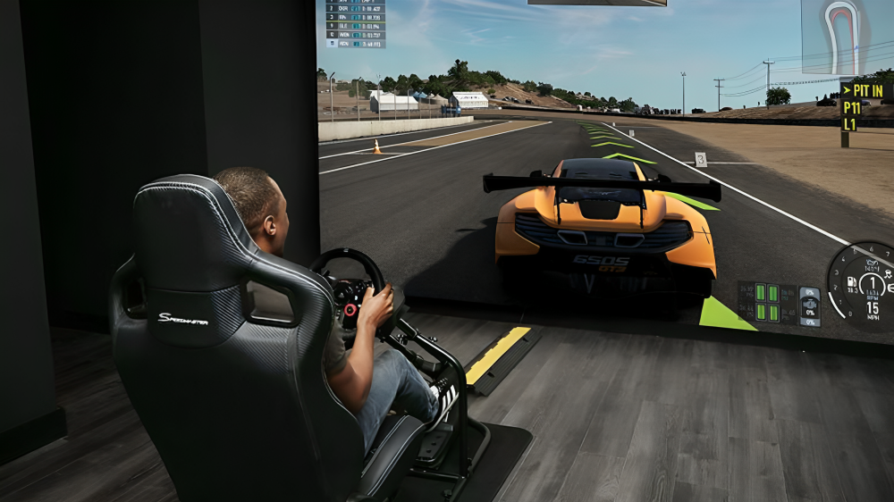 Realistic Sports Simulation Games